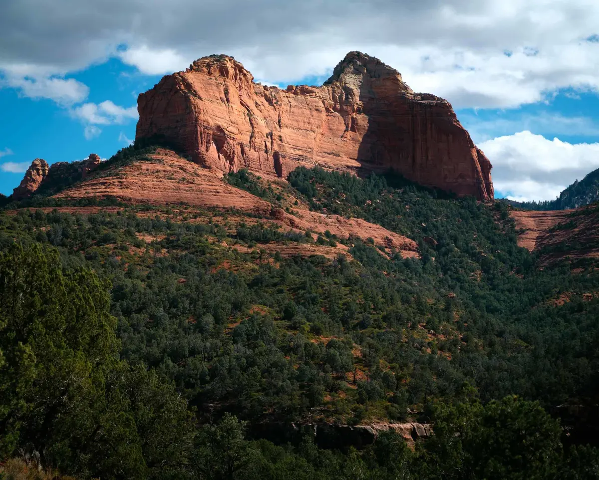 Arizona Vibes