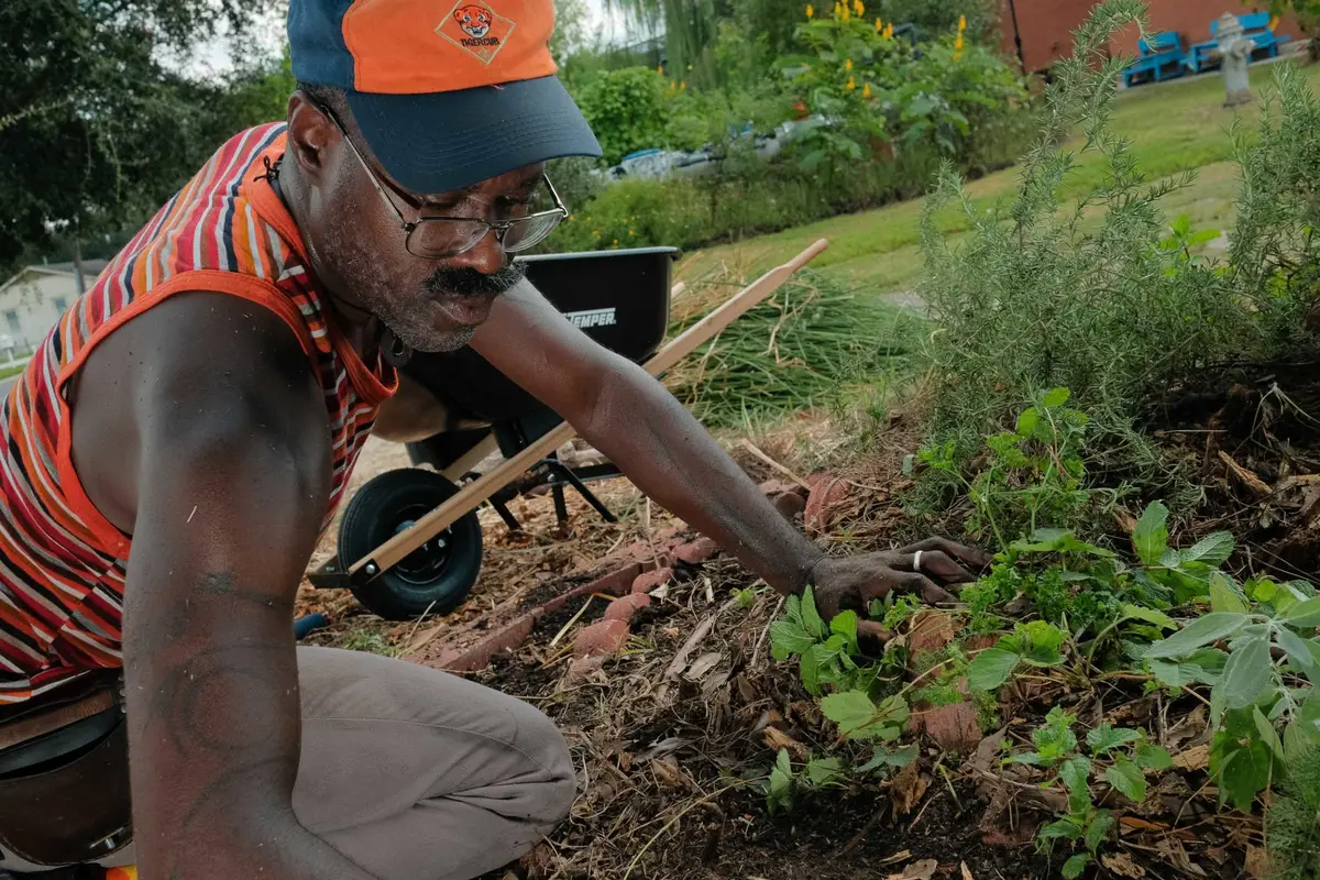 Gardening
