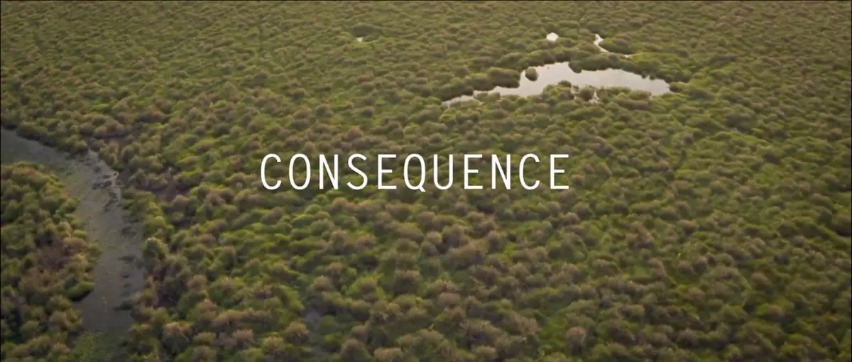 Consequence — photo 1